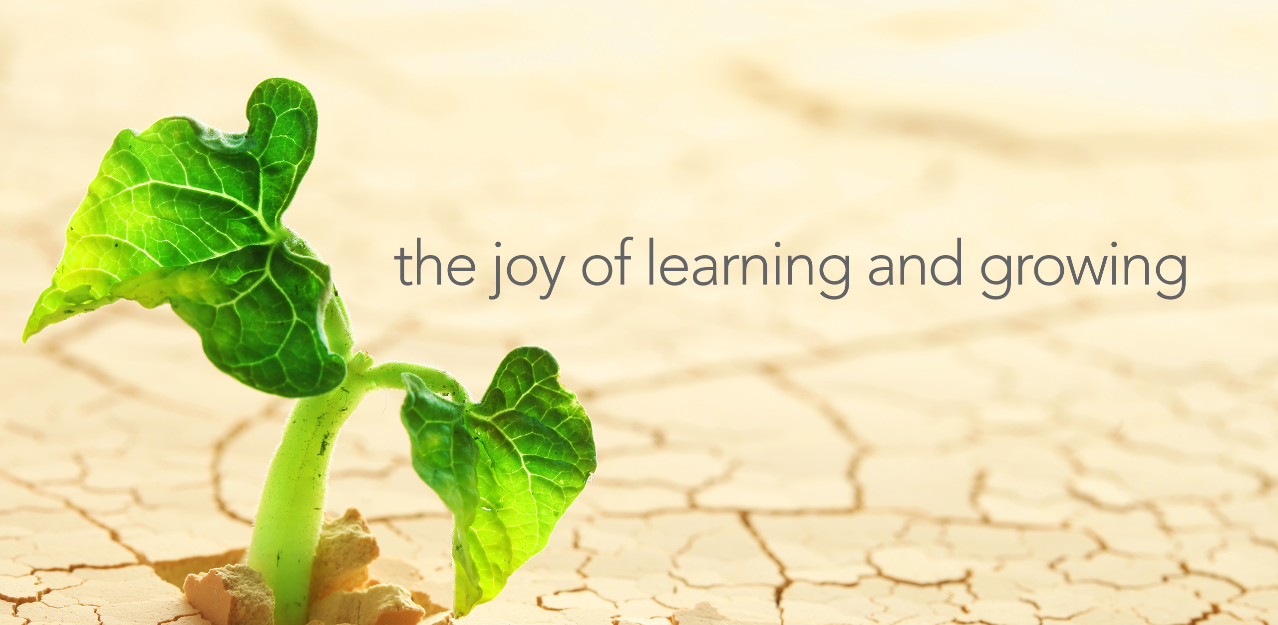 the joy of learning and growing
